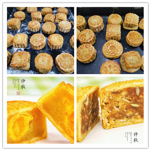 WDCM上传图片 WDCM上传图片