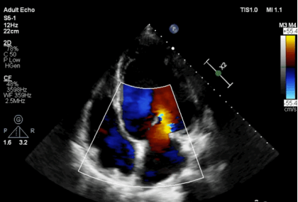 WDCM上传图片 WDCM上传图片